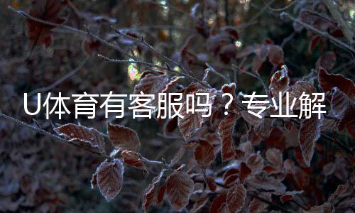 U体育有客服吗？专业解答客服联系方式与服务质量
