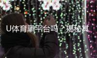 U体育黑平台吗？揭秘其真伪与玩家避坑指南