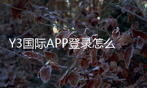 Y3国际APP登录怎么操作？官方入口、账号注册与忘记密码问题全面解析