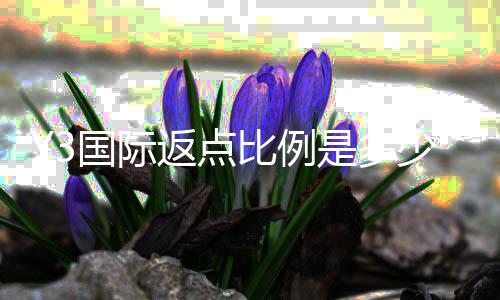 Y3国际返点比例是多少?最新返点率一览与计算方法