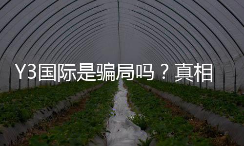 Y3国际是骗局吗？真相调查、用户投诉与防骗攻略