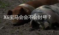 X6宝马会会不会封号？深度解析平台风控与账号安全策略