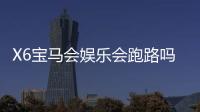 X6宝马会娱乐会跑路吗？深度解析平台安全性与玩家应对策略