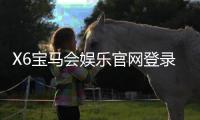 X6宝马会娱乐官网登录入口：畅享豪华电游体验与独家登录福利
