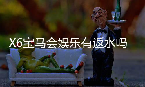 X6宝马会娱乐有返水吗？揭秘平台返水规则与实战技巧