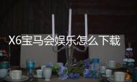 X6宝马会娱乐怎么下载？手把手教你快速安装畅玩攻略