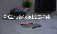 X6宝马会娱乐投注种类多吗？深度解析平台热门游戏与特色玩法