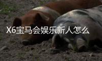 X6宝马会娱乐新人怎么领福利？超全福利领取攻略助你轻松开局