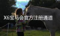 X6宝马会官方注册通道：畅享豪华电竞赛事与真人娱乐新体验