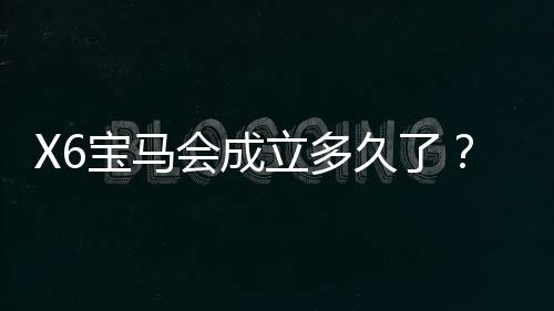 X6宝马会成立多久了？揭秘其发展历程与品牌故事
