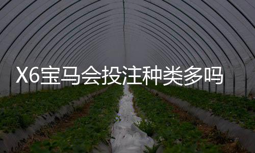 X6宝马会投注种类多吗？揭秘平台热门游戏与特色玩法