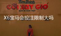 X6宝马会投注限制大吗？深度解析平台规则与下注技巧