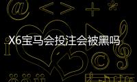 X6宝马会投注会被黑吗？资深玩家揭秘平台安全性与防坑指南