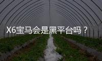 X6宝马会是黑平台吗？深度解析其安全性与玩家真实体验