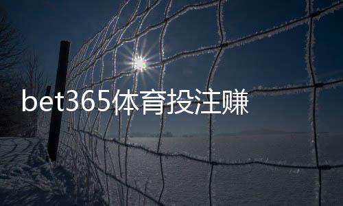 bet365体育投注赚钱吗？盈利可能性、实战策略与风险避坑全面解析