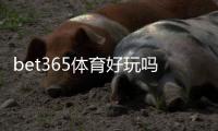bet365体育好玩吗？真实体验评测：玩法亮点、优缺点与新手入门指南