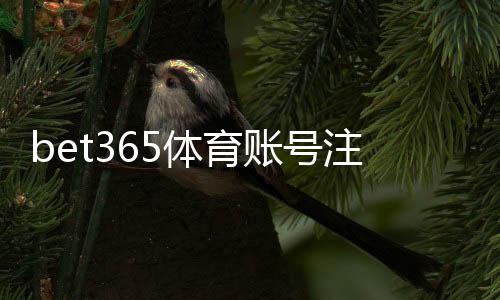 bet365体育账号注册完整教程：新手注册步骤、身份验证与常见问题解答