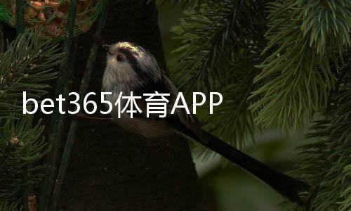 bet365体育APP开户怎么注册？2026最新版开户流程、实名认证与优惠全攻略