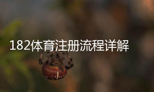 182体育注册流程详解：新手一步步完成开户、实名认证与登录教程