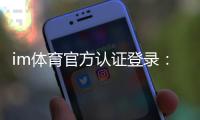 im体育官方认证登录：安全便捷的官方入口与游戏体验指南