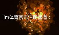 im体育官方注册通道：轻松开启您的专业体育投注之旅