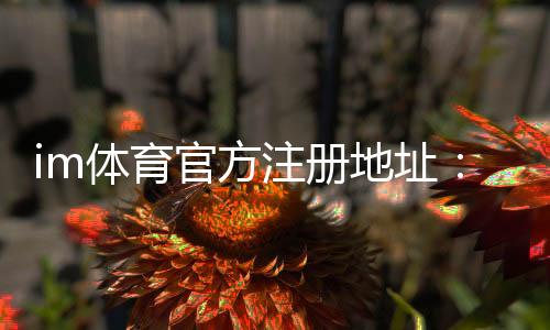 im体育官方注册地址：轻松获取官网入口与注册教程