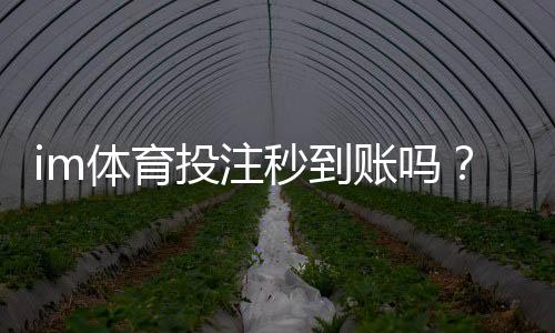 im体育投注秒到账吗？实测到账速度与提款技巧分享