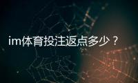 im体育投注返点多少？揭秘高返水平台隐藏福利