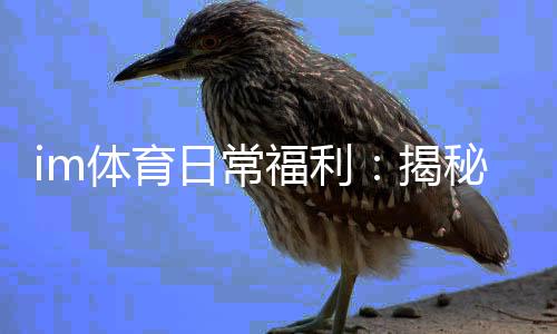 im体育日常福利：揭秘平台独家优惠与玩家专属礼包