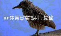 im体育日常福利：揭秘平台独家优惠与玩家专属礼包