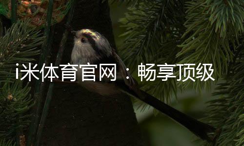 i米体育官网：畅享顶级体育赛事与在线投注体验