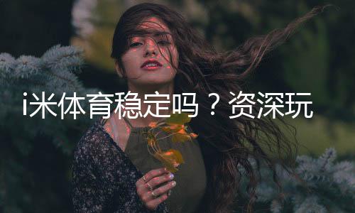 i米体育稳定吗？资深玩家实测体验与平台安全性解析