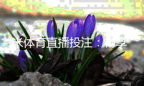 i米体育直播投注：畅享高清赛事与智能投注的完美体验