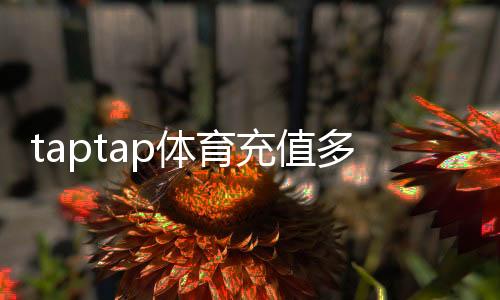 taptap体育充值多久到账？最快到账时间、常见延迟原因与解决办法